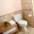 Middleton Senior Bath Solutions by Independent Home Products, LLC